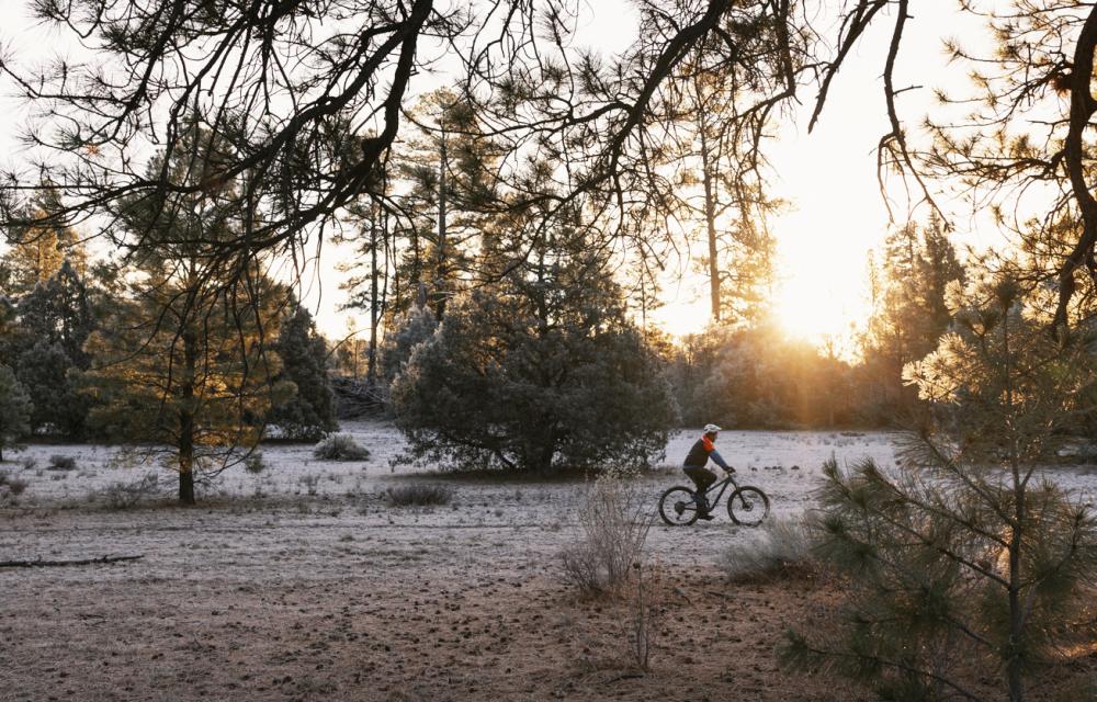 A mountain biker riders a trail through the national forest near Grants, New Mexico.