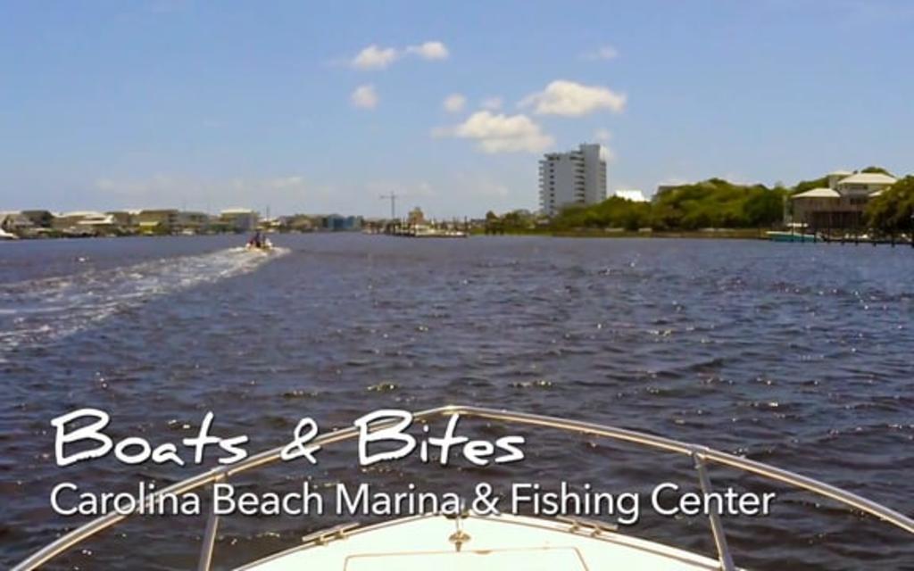 Carolina Beach Fishing Center Marina Fishing Charters & Docking