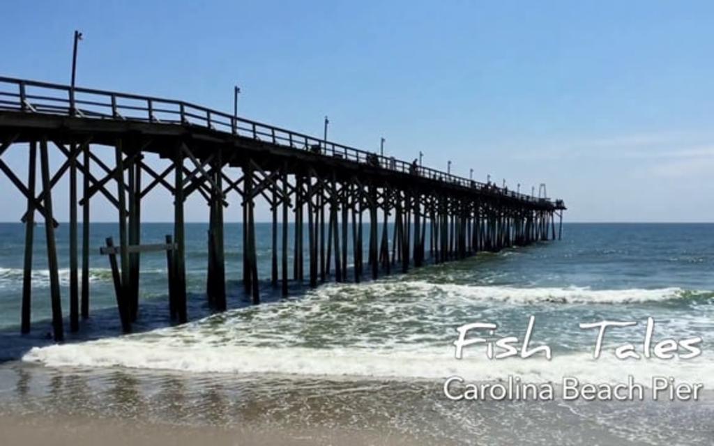 Carolina Beach Fishing Center Marina Fishing Charters Docking