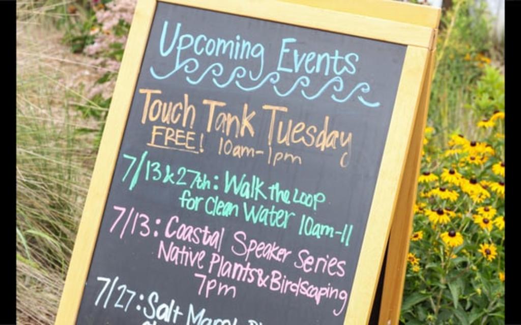 Go Local - North Carolina Coastal Federation