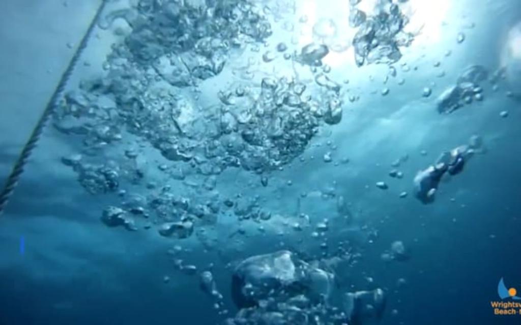 Wrightsville Beach Fishing Diving Water Activities