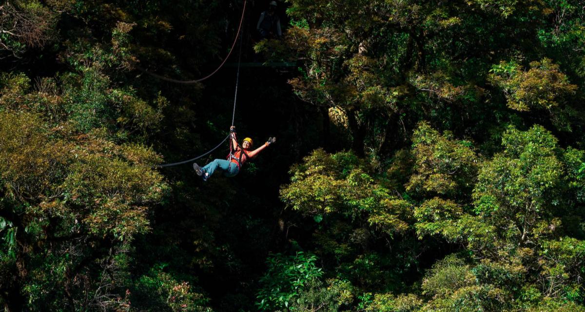 Zipline