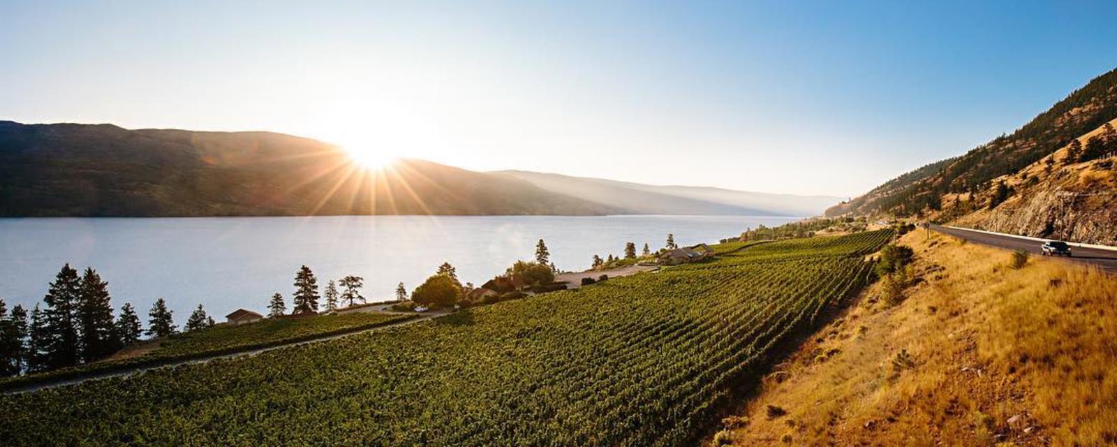 5 Fun Things To Do In Peachland Right Now 5 Fun Things To Do In Peachland Right Now