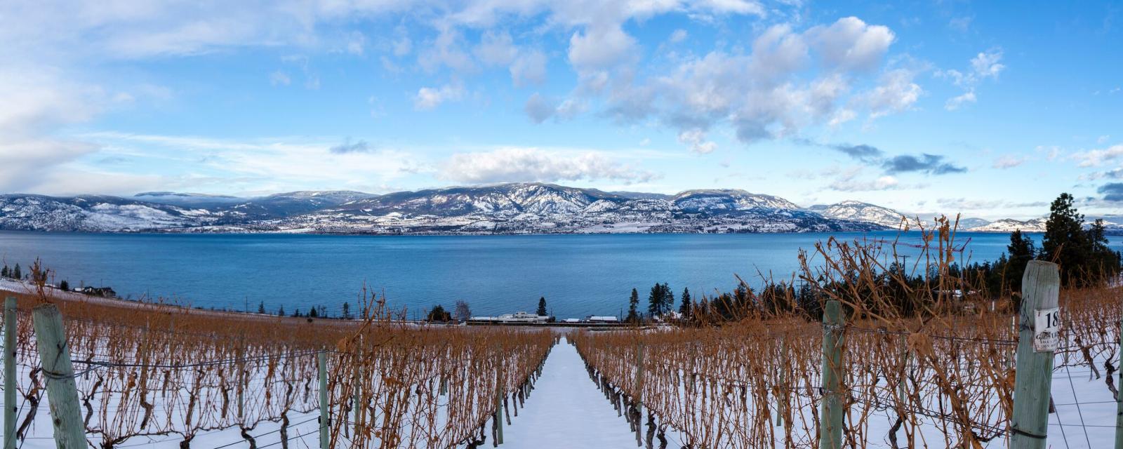 Why Everyone Should Experience Winter Wine Country