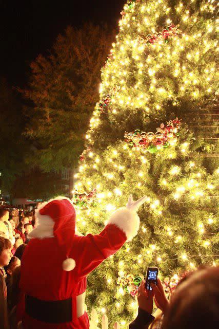 Birkdale Village - Christmas Tree Light & Santa