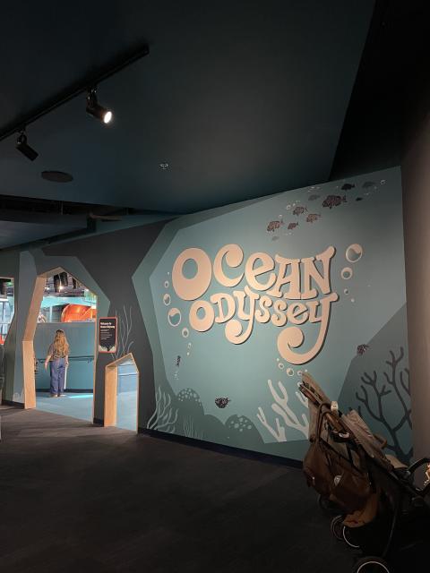 Ocean Odyssey