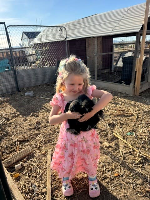 A young girl holding a chicken
