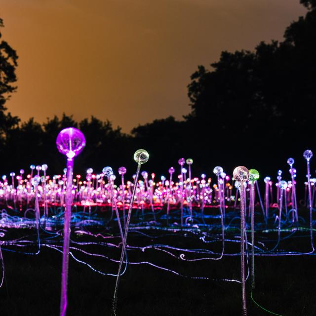 Arts & Culture | Resources for LGBTQ Visitors | Visit Austin, TX