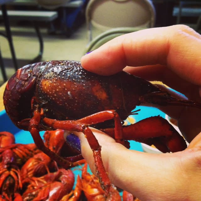 Crawfish