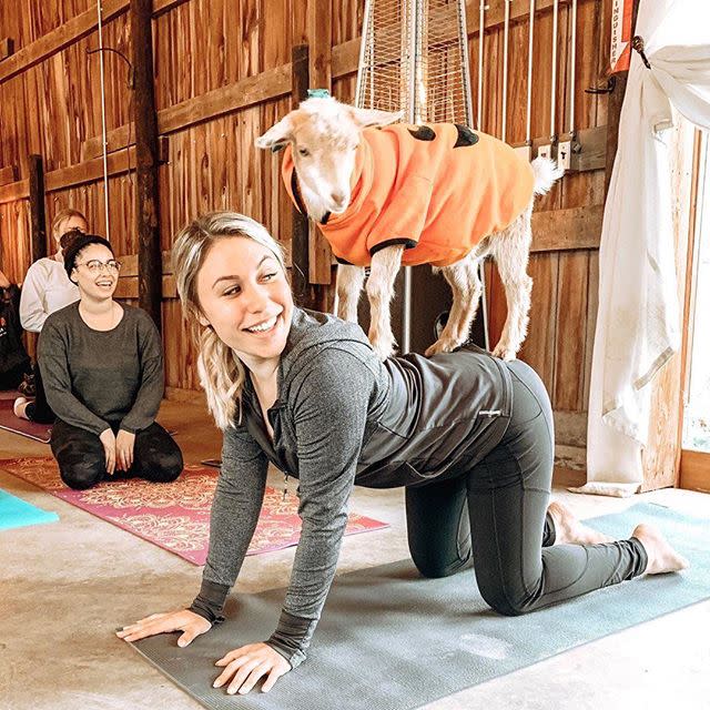 NY Goat Yoga