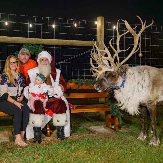 The Ultimate Guide to Christmas in Pocono Mountains