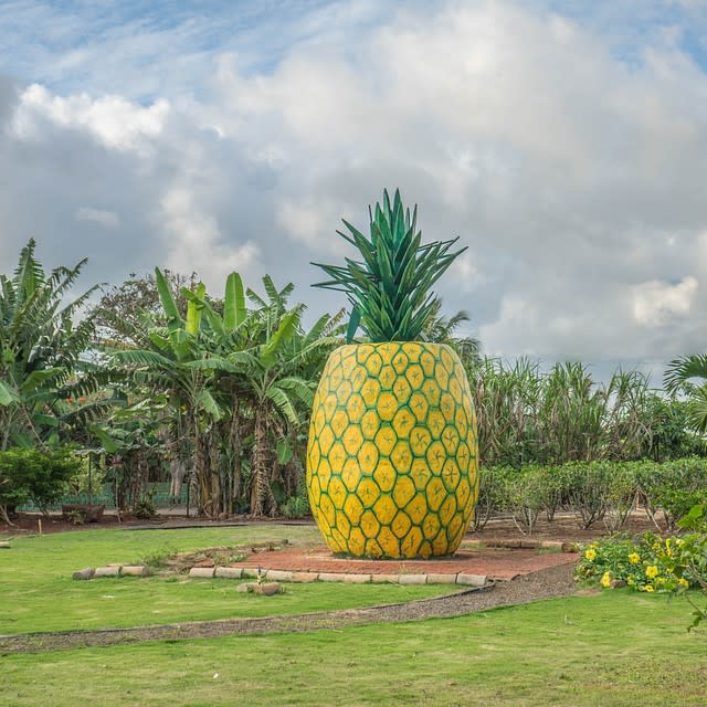 Dole Plantation