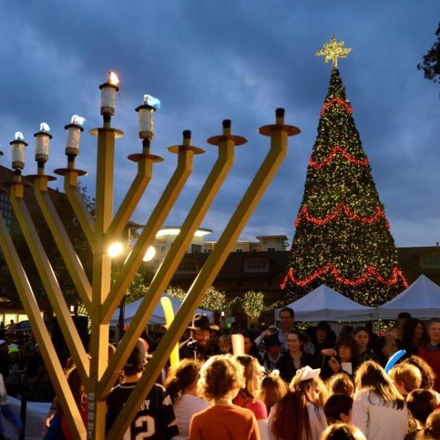 Top Things To Do In The Woodlands This December