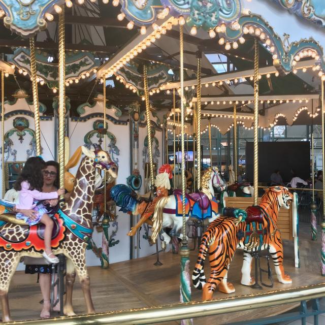 The Woodlands Mall Carousel - 3 tips from 282 visitors