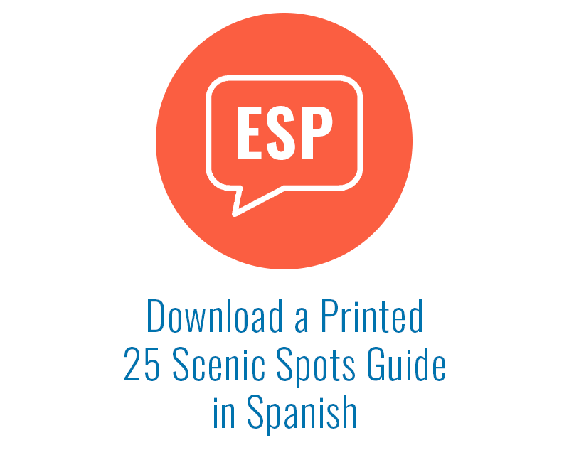 infographic to download guide in Spanish