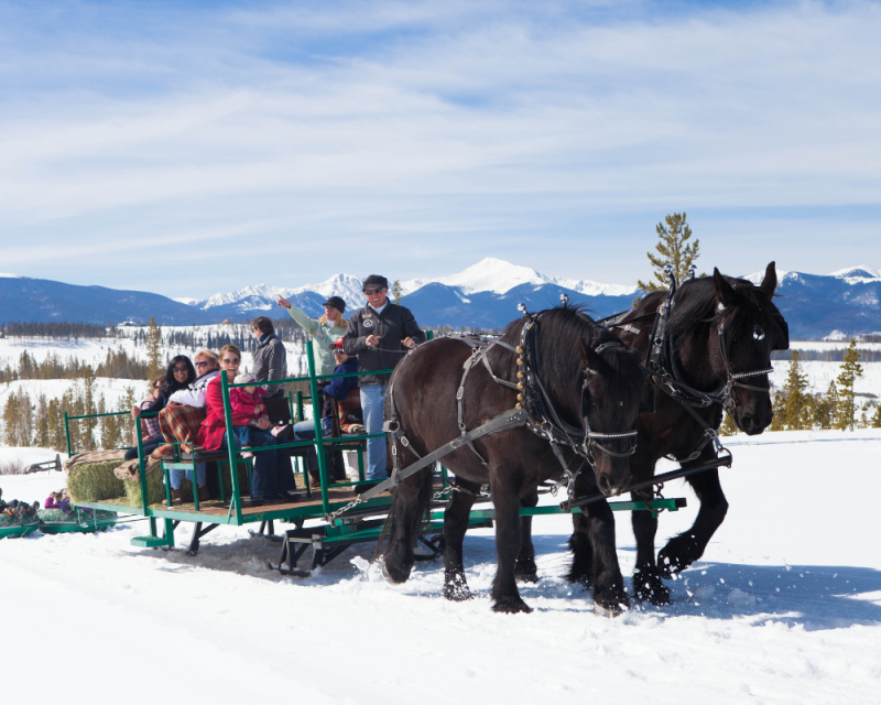 Horse Drawn Sleigh Ride Near Granby