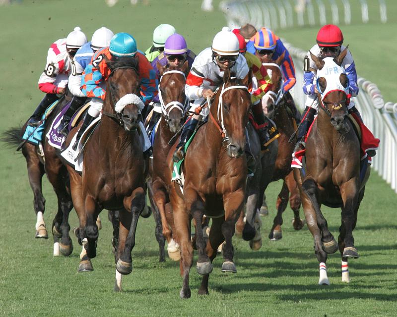 Colonial Downs Racetrack