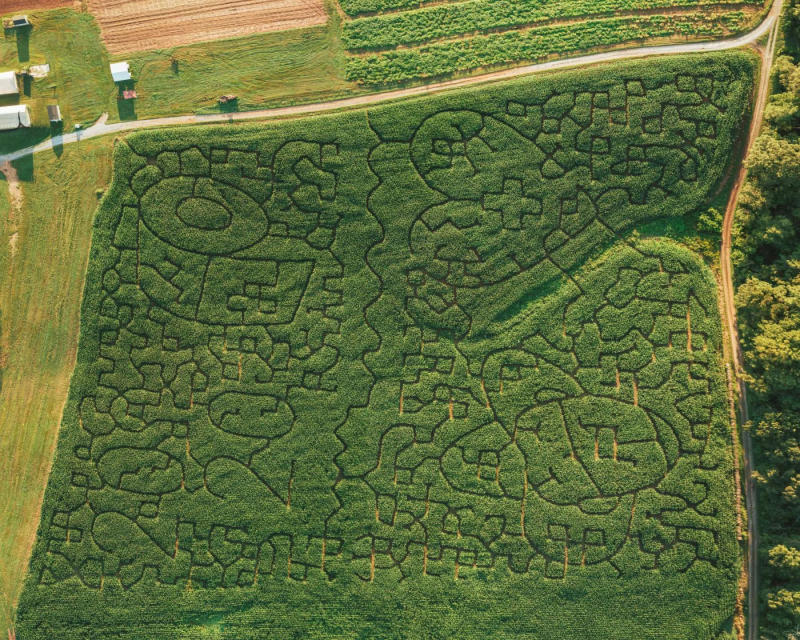 2020 Yoders' Farm Corn Maze