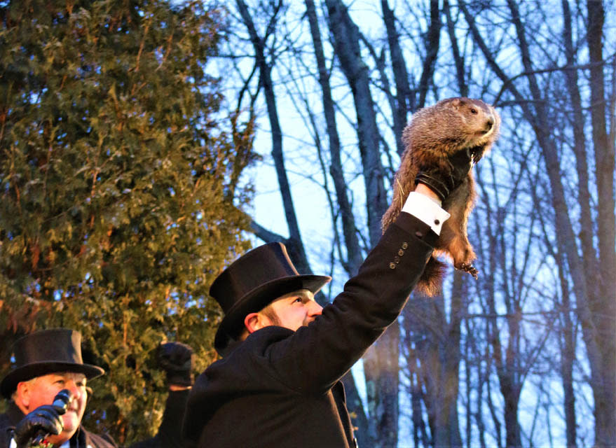 a person holding groundhog in hand