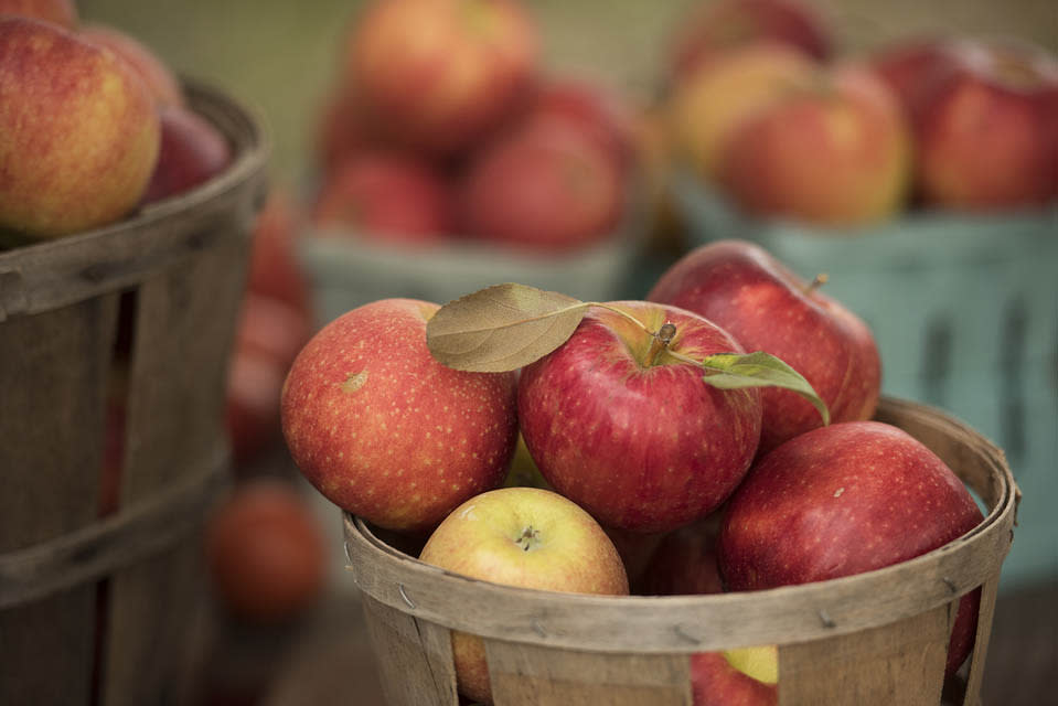 basket of apples