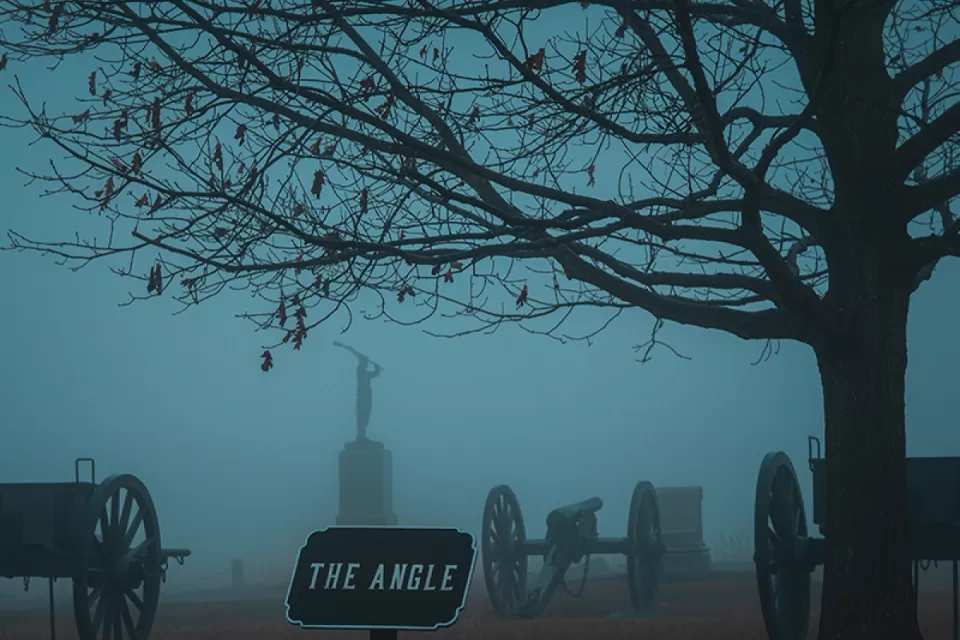 The Angle Gettysburg Tree