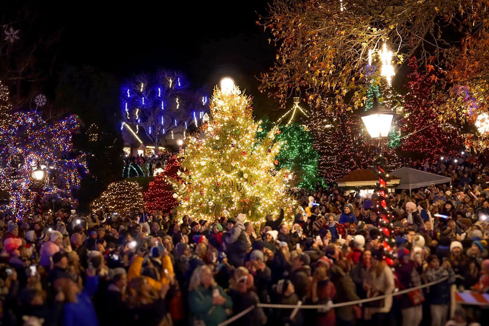people standing near Christmas Tree