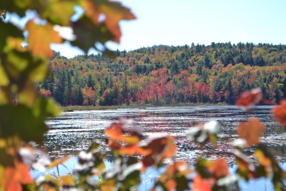 Chestertown Water