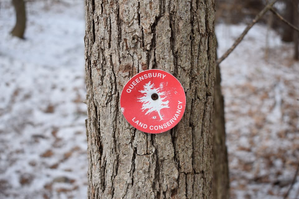Queensbury Land Conservancy trail marker on a tree at the Van Dusen Preserve in winter