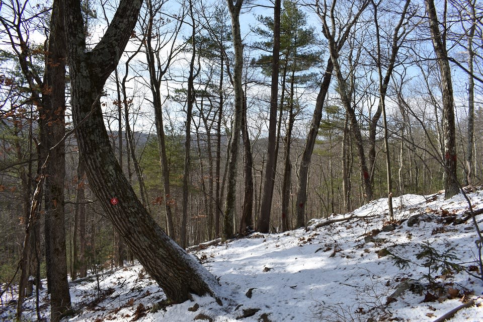 View from the Van Dusen Preserve trail in winter