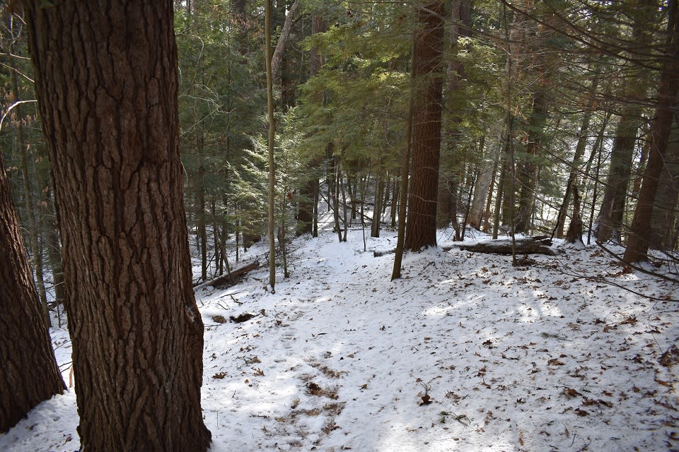 Hill in the Van Dusen Preserve in winter