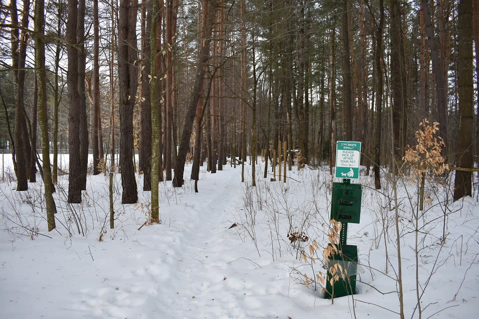 Chester Creek Trails in winter