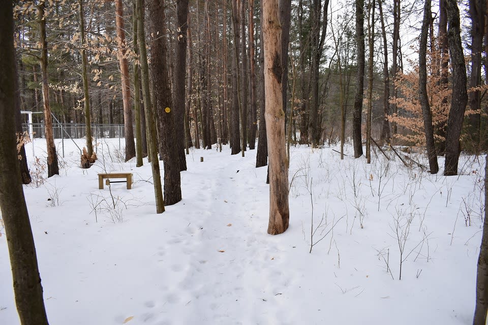 Chester Creek Trails in winter 