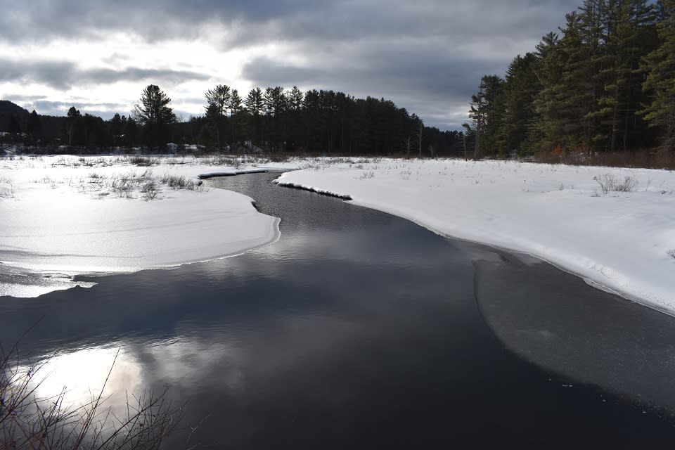 Chester Creek in winter with open water from the Chester Creek Nature Trail