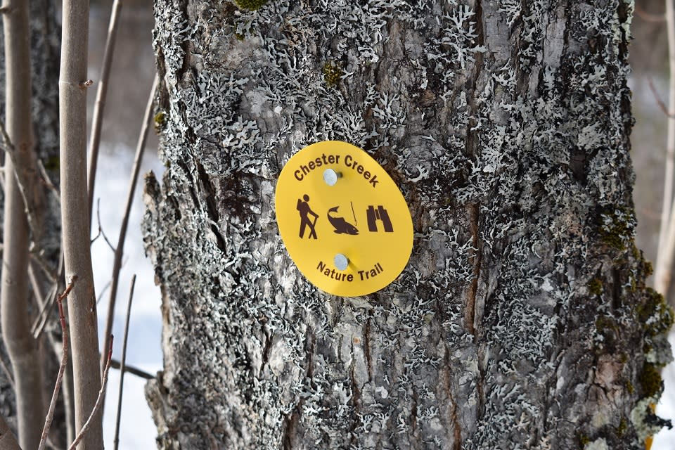Yellow trail marker on the Chester Creek Trails in winter