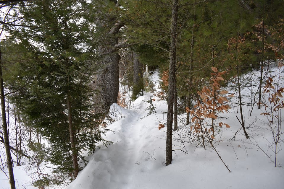 Chester Creek Trails in winter
