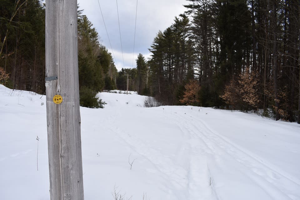Power lines on the Chester Creek trails in winter