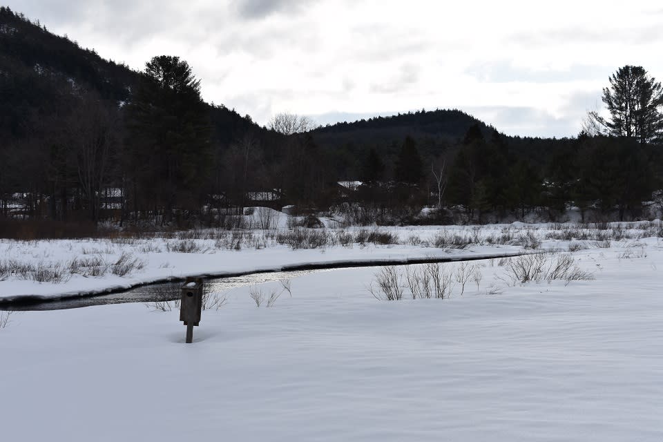 Chester Creek in winter from the Chester Creek Nature Trails