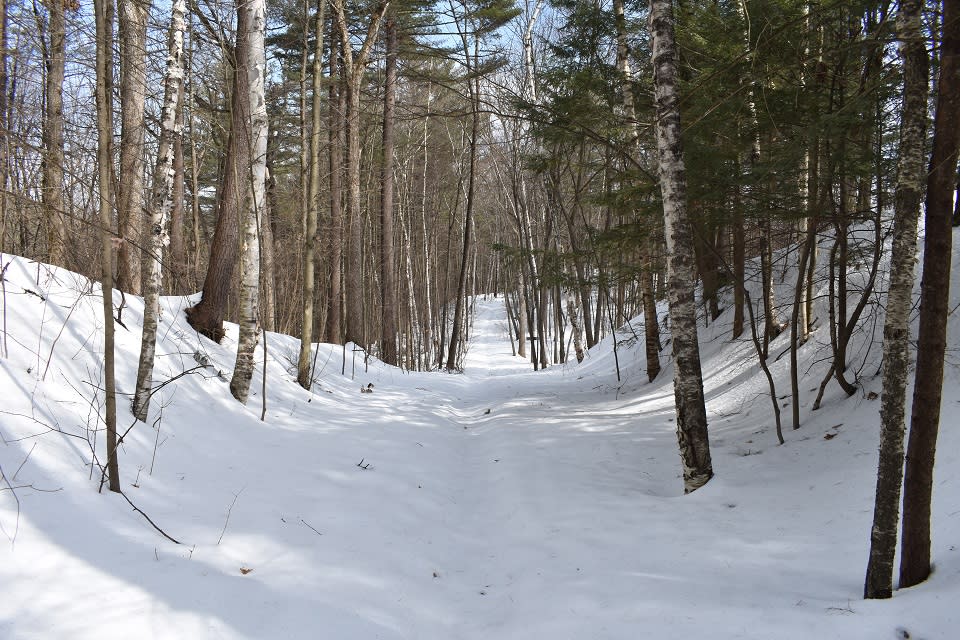 the Sullivan Preserve trails covered in snow