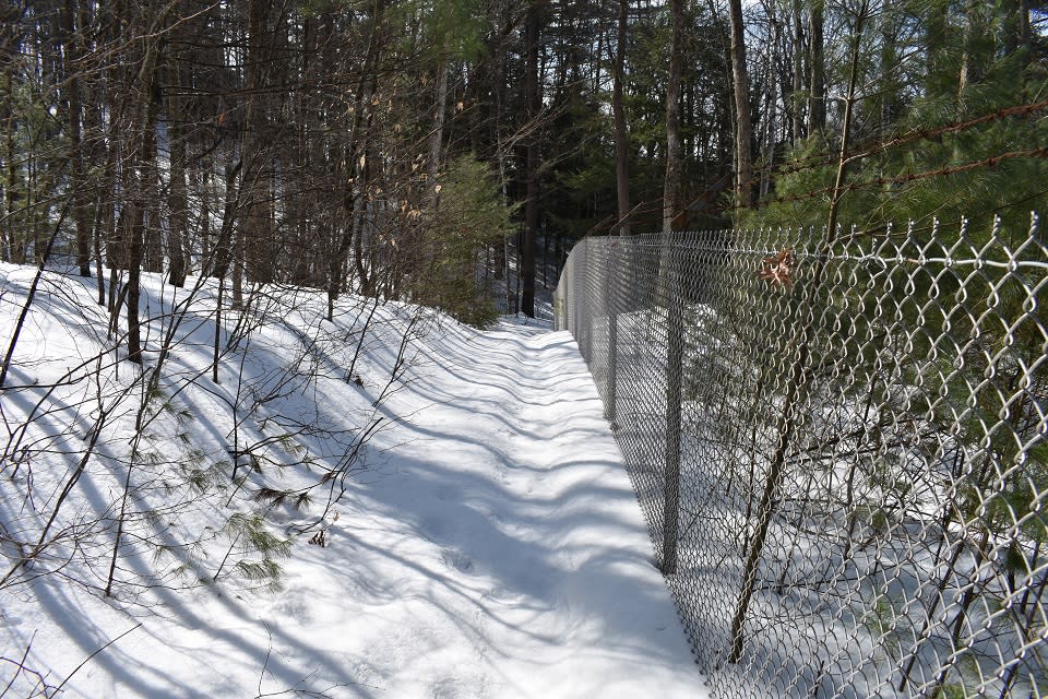 Trail following a chainlink fence at the Sullivan Preserve in winter