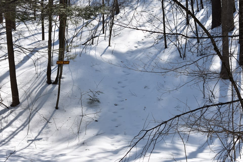 Suicide Slide trail at the Sullivan Preserve in winter
