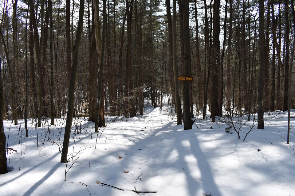 Ridge Trail sign at the Sullivan Preserve in winter