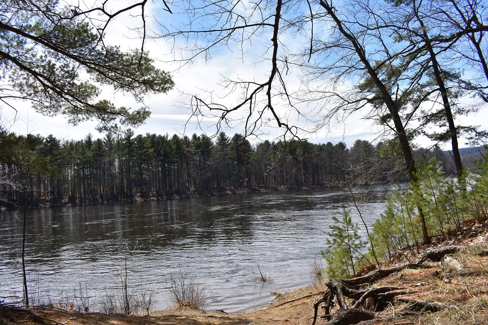 Hudson Pointe Nature Preserve