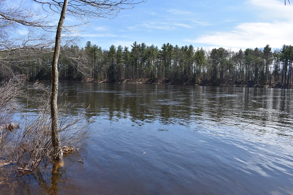 Hudson Pointe Nature Preserve