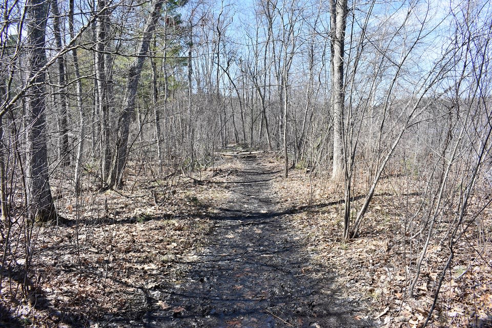 Hudson Pointe Nature Preserve