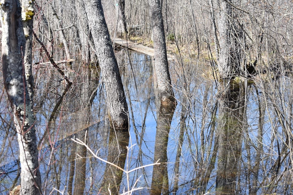 Hudson Pointe Nature Preserve