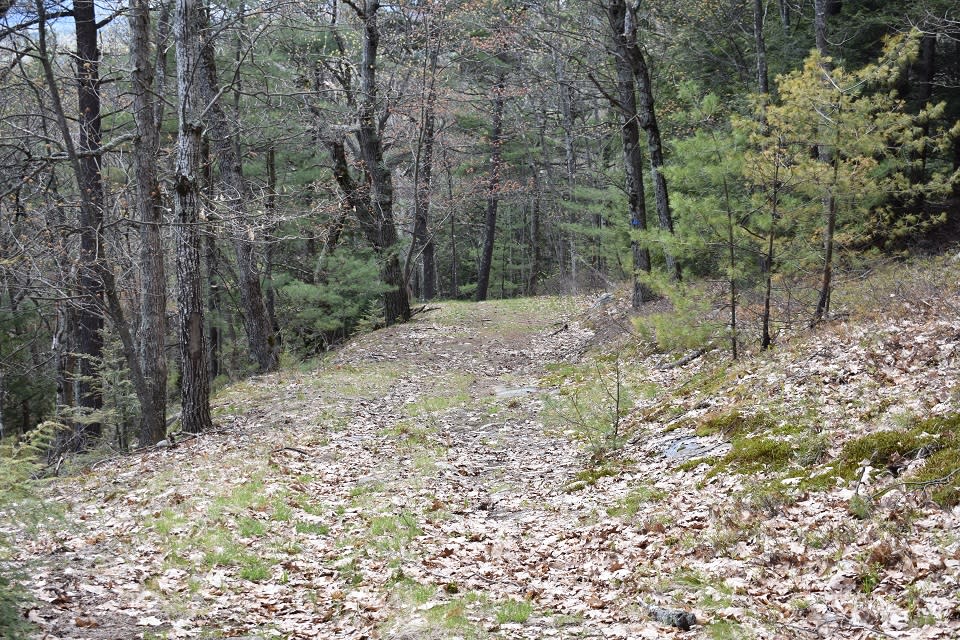 Berry Pond Preserve