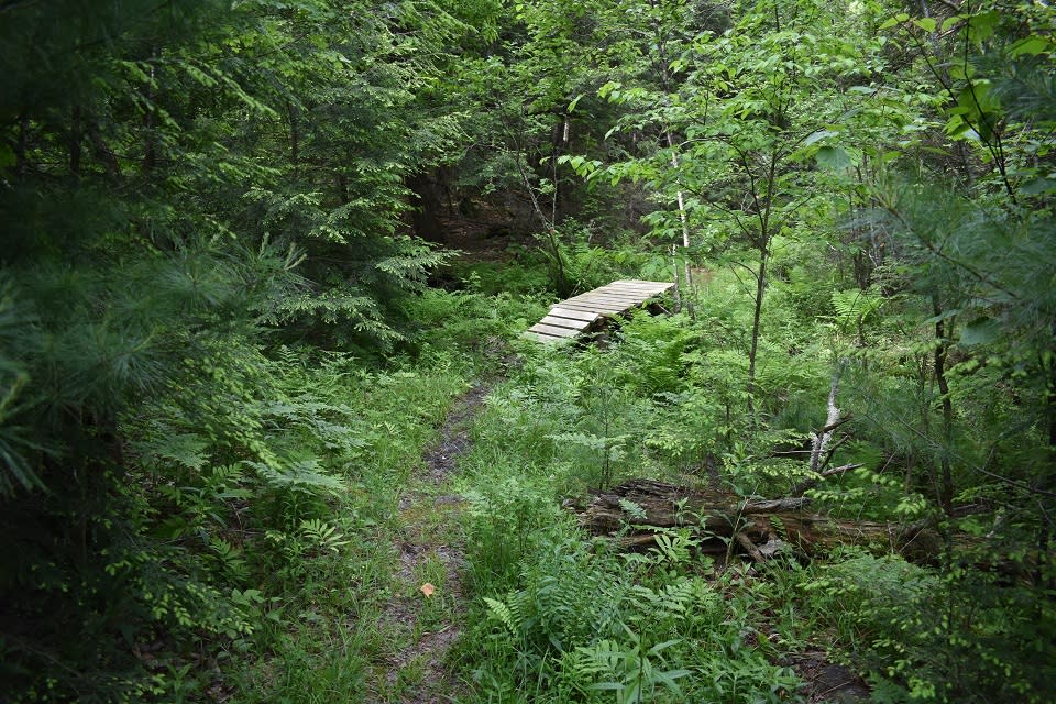 Godwin Preserve
