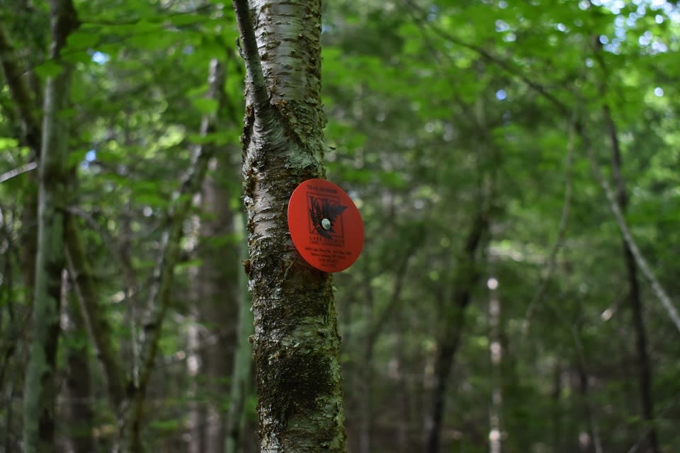 Godwin Preserve