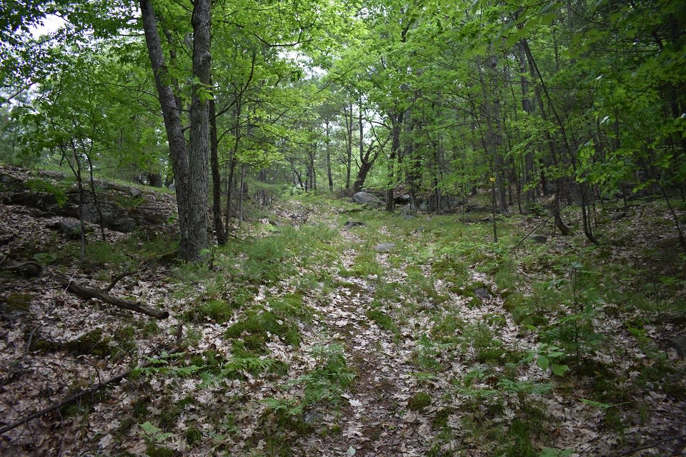 Godwin Preserve