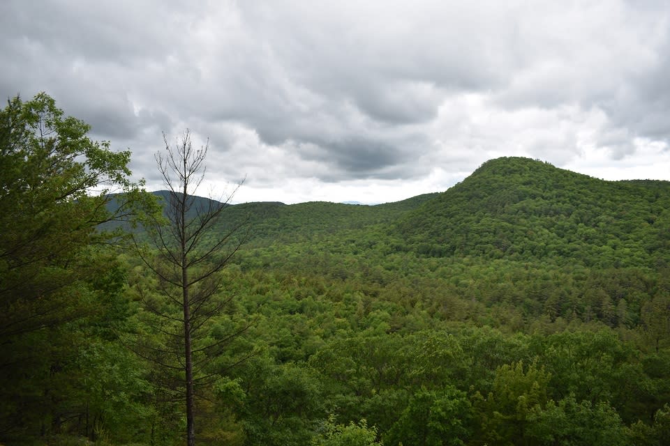 Godwin Preserve